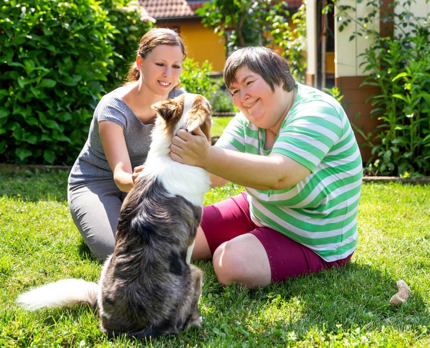 what are the 4 types of community health nursing - Disability Care