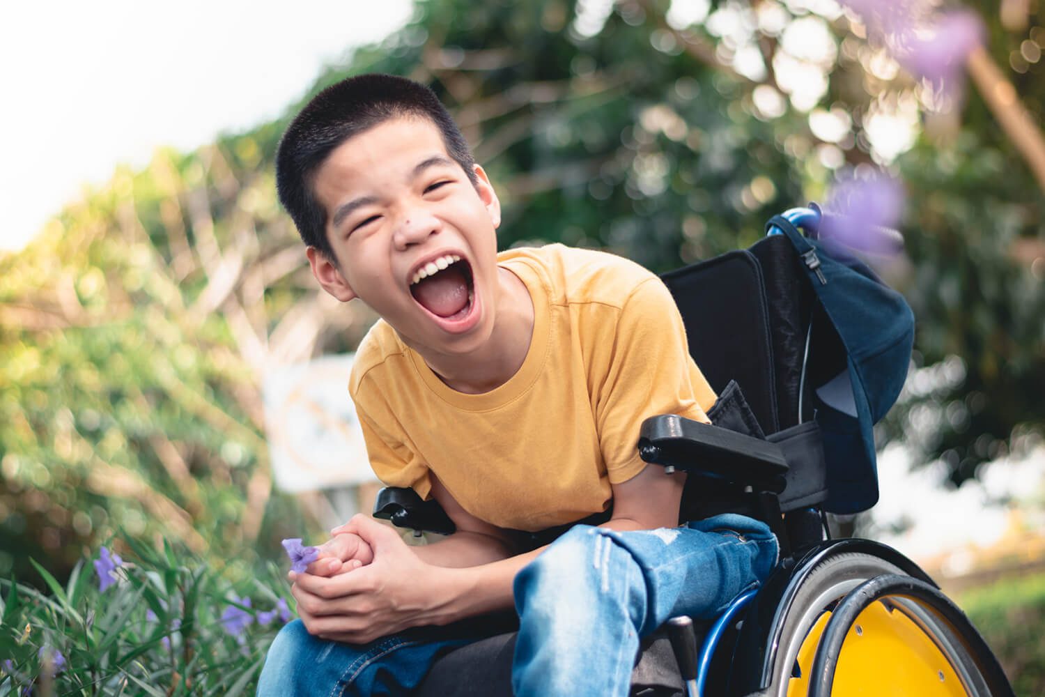 What Does Sda Mean In Ndis